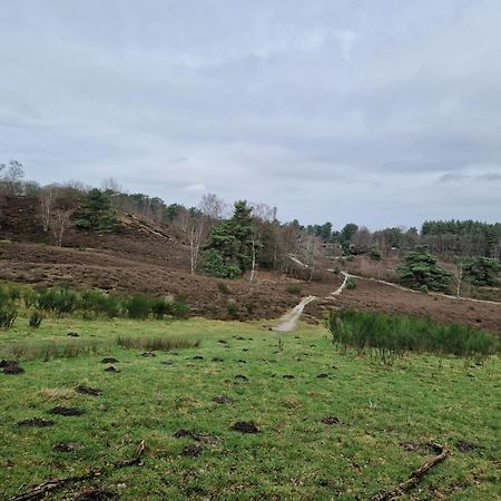 Heuvel 35 Villa Simpelveld Kültér fotó