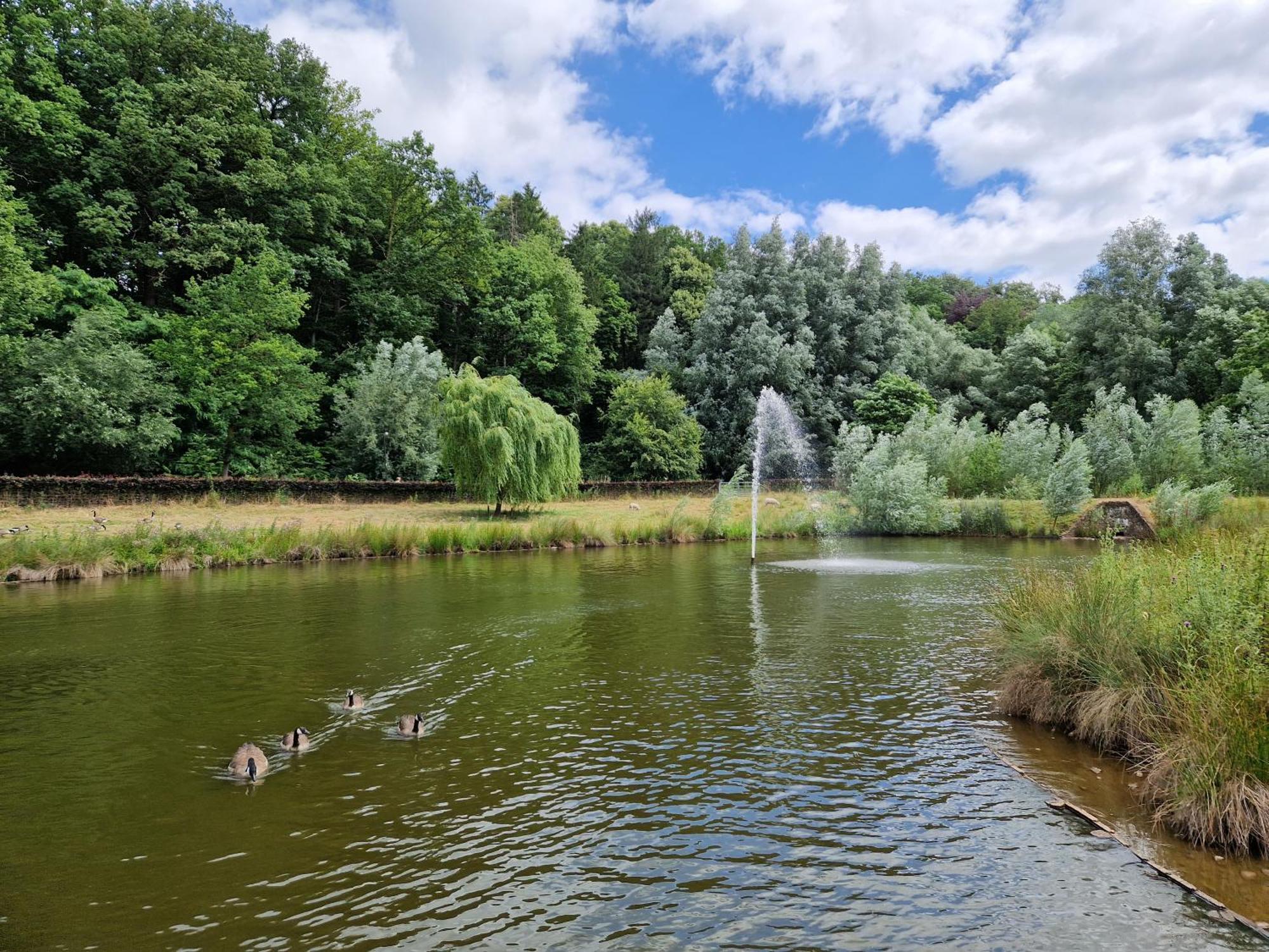 Heuvel 35 Villa Simpelveld Kültér fotó